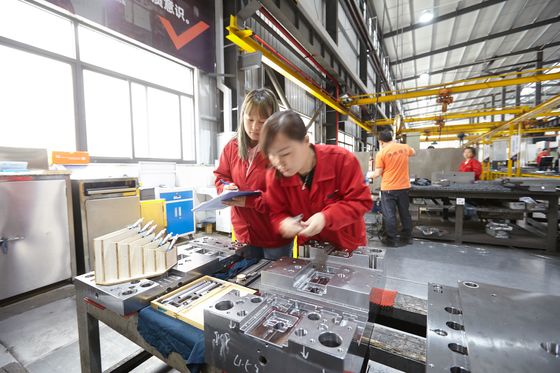 DXM-Stahlplastikform-Basis für Berufsherstellung