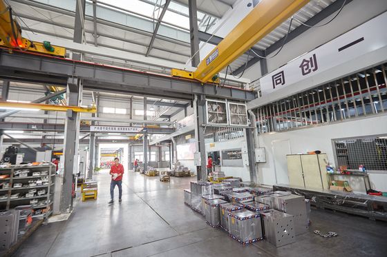 Präzisions-Prägespritzen die Stücke, die mit Räucherung-freier Holzkiste verpackt wurden